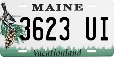 ME license plate 3623UI