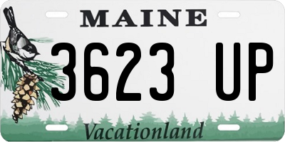 ME license plate 3623UP