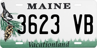 ME license plate 3623VB
