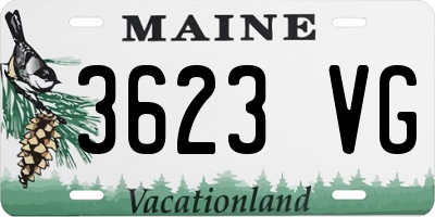 ME license plate 3623VG