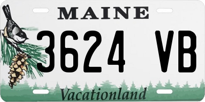ME license plate 3624VB