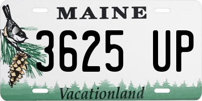 ME license plate 3625UP