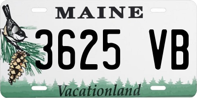 ME license plate 3625VB