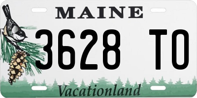 ME license plate 3628TO