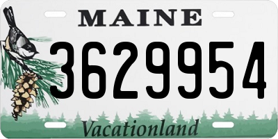 ME license plate 3629954