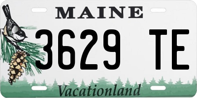 ME license plate 3629TE
