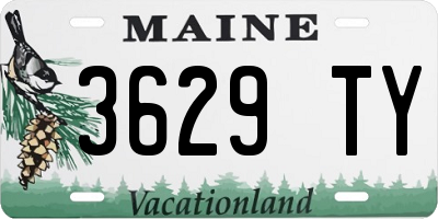 ME license plate 3629TY