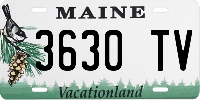 ME license plate 3630TV