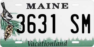 ME license plate 3631SM