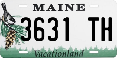 ME license plate 3631TH