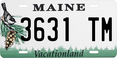 ME license plate 3631TM