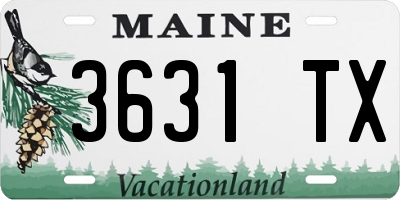 ME license plate 3631TX