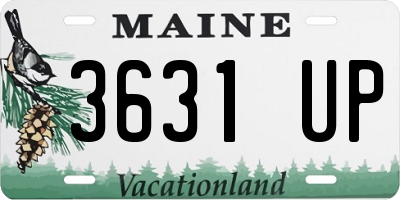 ME license plate 3631UP