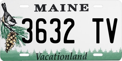 ME license plate 3632TV