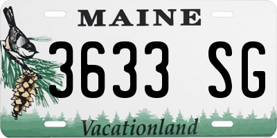 ME license plate 3633SG