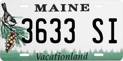 ME license plate 3633SI