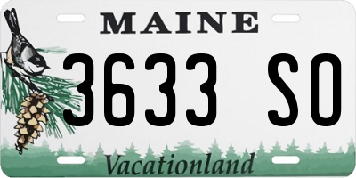 ME license plate 3633SO