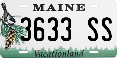 ME license plate 3633SS