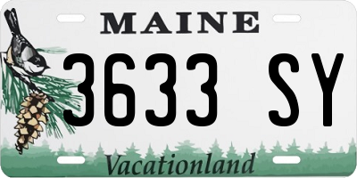 ME license plate 3633SY