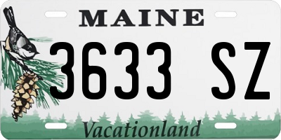 ME license plate 3633SZ