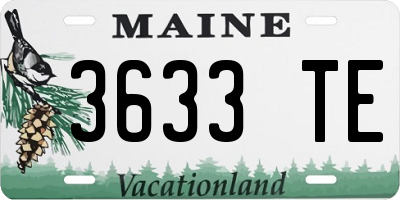 ME license plate 3633TE
