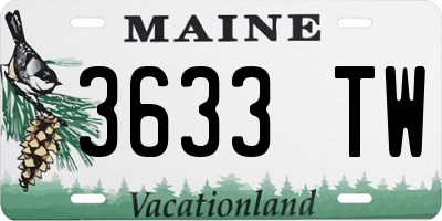 ME license plate 3633TW