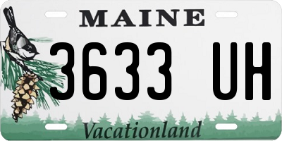 ME license plate 3633UH
