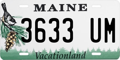 ME license plate 3633UM
