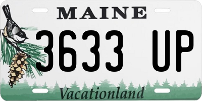ME license plate 3633UP