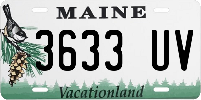 ME license plate 3633UV