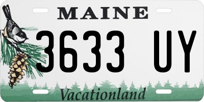 ME license plate 3633UY