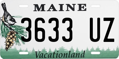 ME license plate 3633UZ