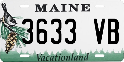 ME license plate 3633VB
