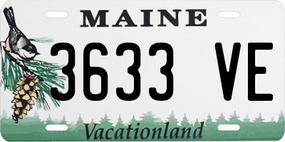 ME license plate 3633VE