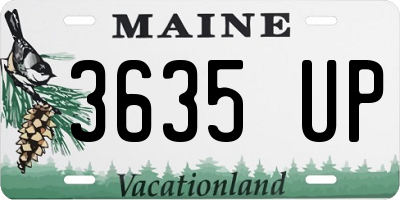 ME license plate 3635UP