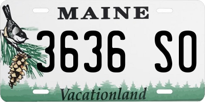 ME license plate 3636SO
