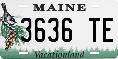 ME license plate 3636TE
