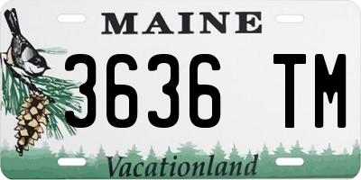 ME license plate 3636TM