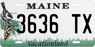 ME license plate 3636TX