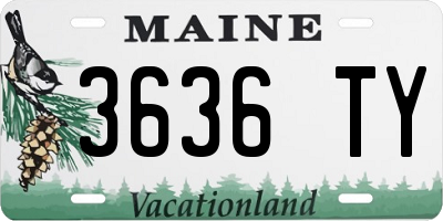 ME license plate 3636TY