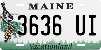 ME license plate 3636UI