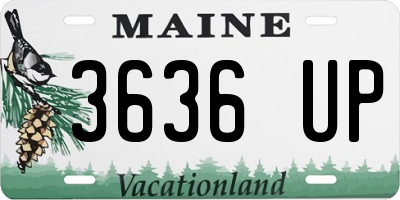 ME license plate 3636UP