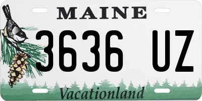 ME license plate 3636UZ