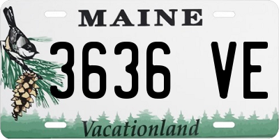 ME license plate 3636VE