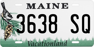 ME license plate 3638SQ