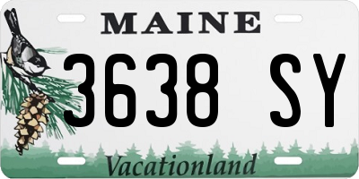ME license plate 3638SY