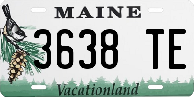 ME license plate 3638TE