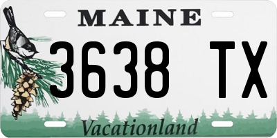 ME license plate 3638TX