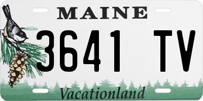 ME license plate 3641TV
