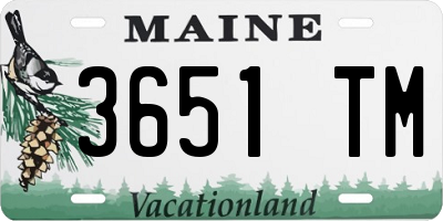 ME license plate 3651TM